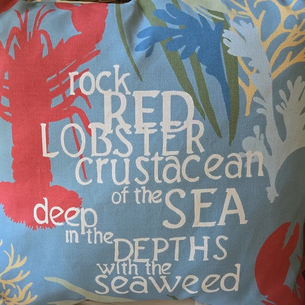 Pottery Barn Outdoor Pillow
